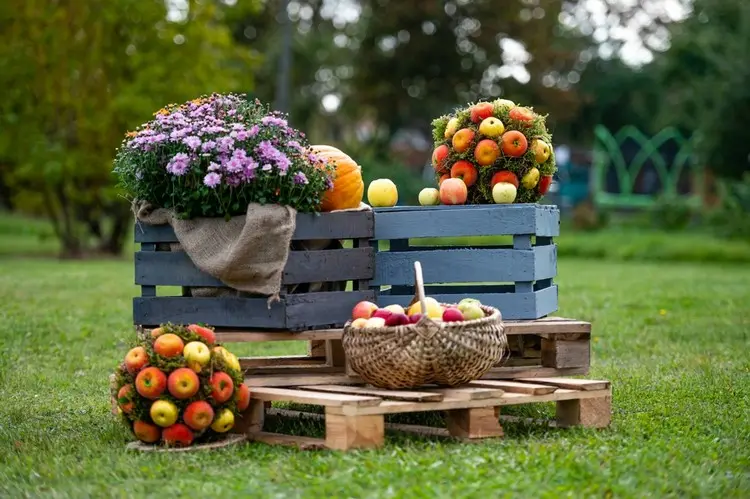 Herbstdeko im Garten auf Paletten und in Holzkisten mit Äpfeln und Blumen