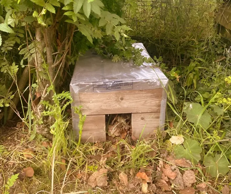 Igelhaus einfach selber bauen mit einer Holzkiste und Folie als Regenschutz