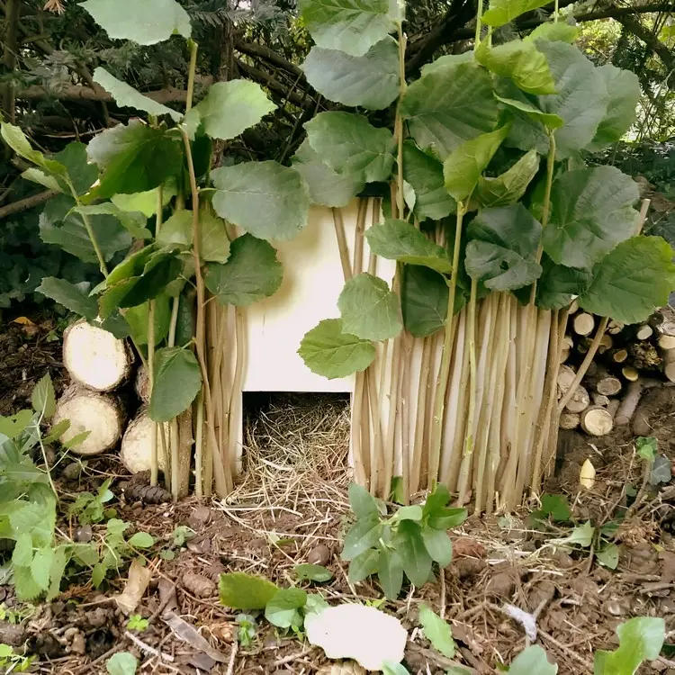 Igelhaus einfach selber bauen und mit natürlichen Materialien im Garten verstecken