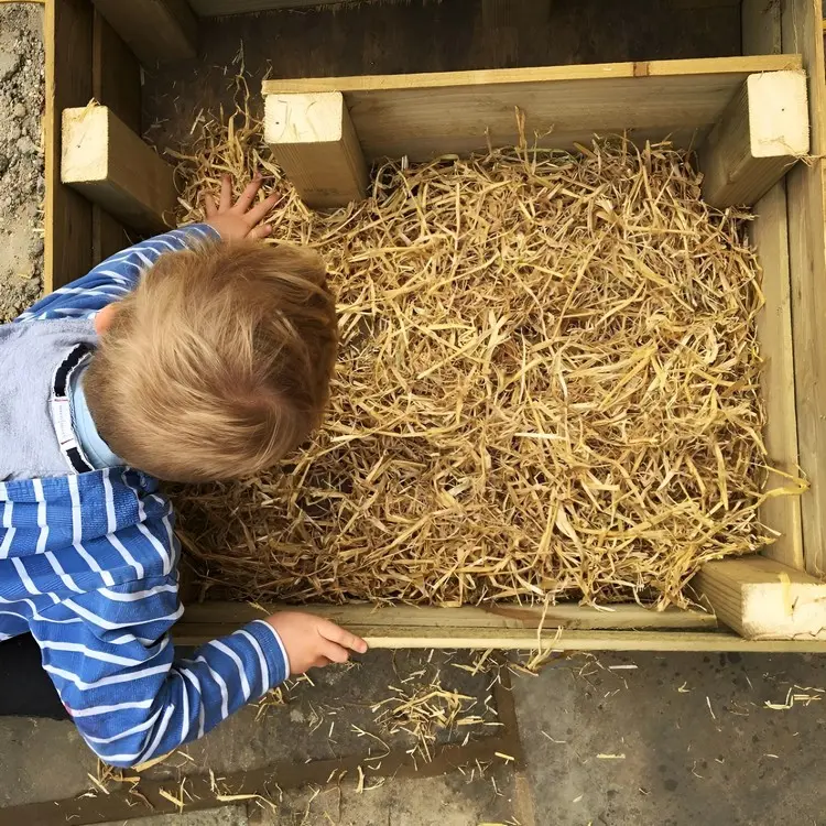 Igelhaus einfach selber bauen und mit Stroh, Laub, Reisig und anderen Dingen befüllen