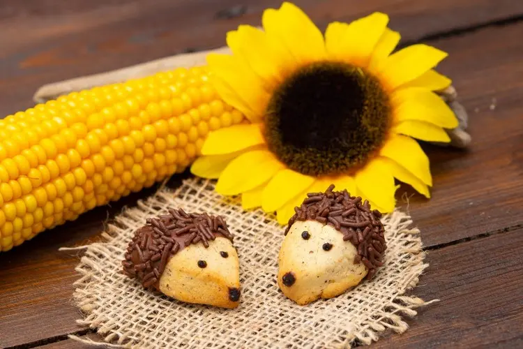 Im Herbst Kekse backen in Form von Igeln mit Mürbeteig und Schokolade