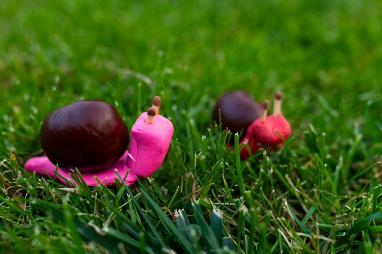 Knete zu einer Wurst rollen und Kastanie als Gehäuse für eine Schnecke