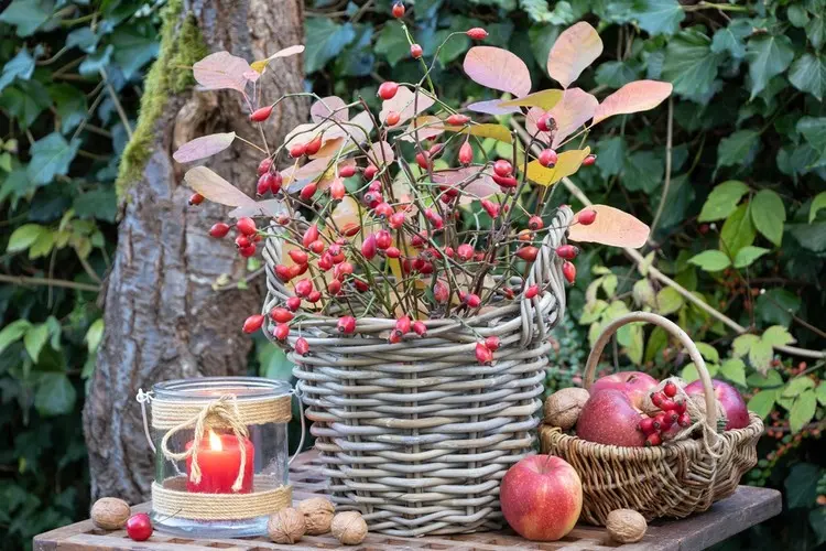 Natürlich wirkende Deko für den Gartentisch im Herbst - Hagebutten in einem Korb