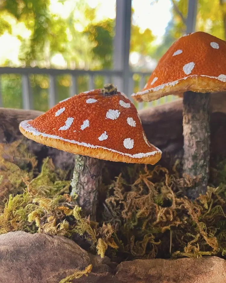 Pilze basteln aus Naturmaterialien - Orangen und Stöcke für Fliegenpilze in einem Arrangement mit Moos