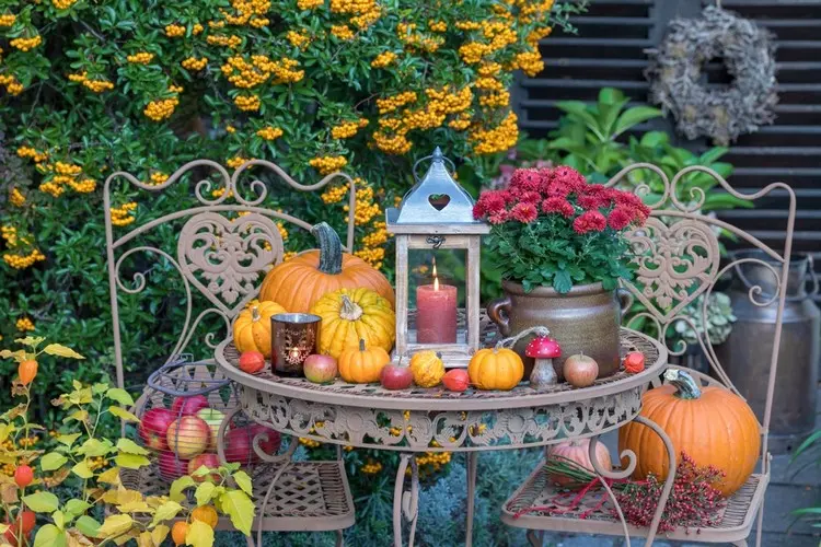 Rostiger Gartentisch aus Schmiedeeisen mit Kürbissen und roten Herbstblumen