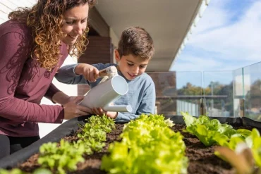 Salat im September pflanzen - Sorten und Tipps