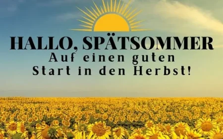 Sprüche zum Spätsommer - auf einen guten Start in den Herbst