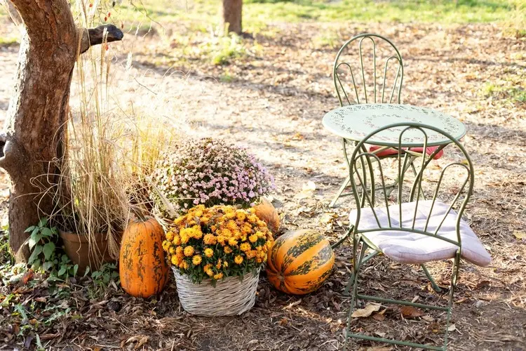 Vertrocknete Gräser in die Herbstdeko im Garten integrieren