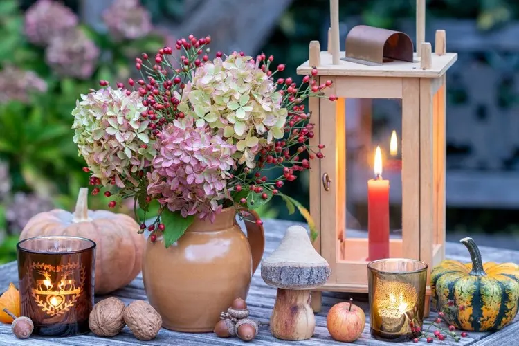 Warme Holztöne, Walnüsse, Hortensien und rote Beeren in einer Vase