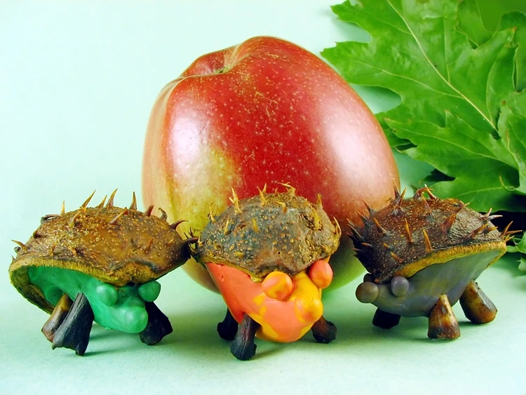 Witze Igel mit farbiger Knetmasse und Kastanienschale