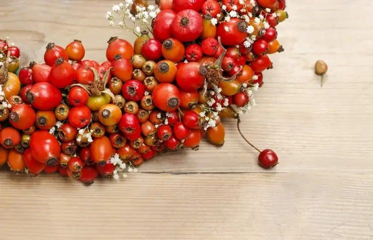 Beerenkranz im Herbst aus Vogelbeeren, Weißdorn, Hagebutten und Schleierkraut