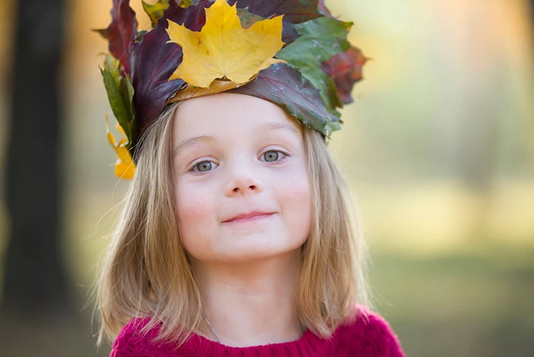 Blätterkrone aus gelben, grünen und violetten Blättern