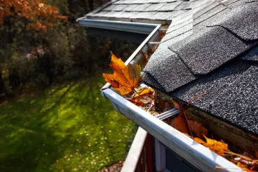 dachrinne am besten im herbst reinigen