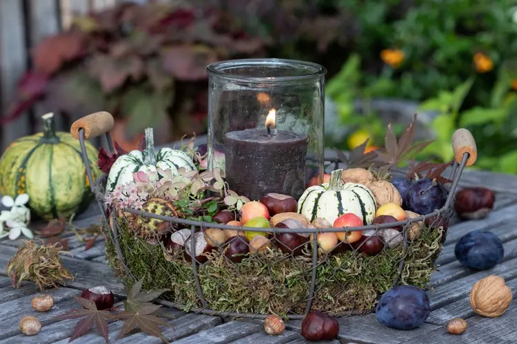 Dekoidee für den Garten oder die Terrasse mit Zierkürbissen, Pflaumen, Moos und anderen Herbstmaterialien