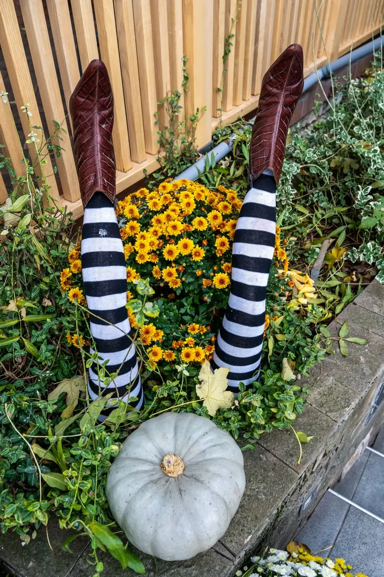 Halloweendeko für das Beet mit Hexenbeinen in Strümpfen und Schuhen