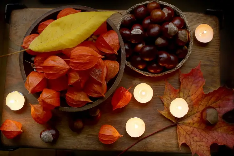 Herbstliche Deko mit Kastanien und Physalis in Schalen