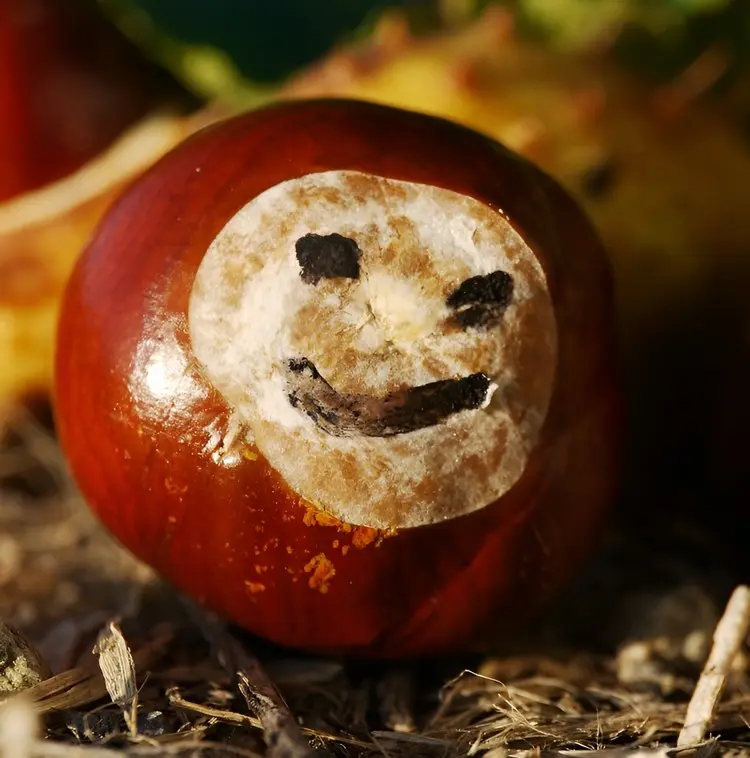 Kastanien Gesichter malen - Einfache Idee für kleine Kinder