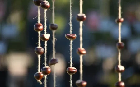 Mit Kastanien ein Mobile basteln als Deko für den Herbst