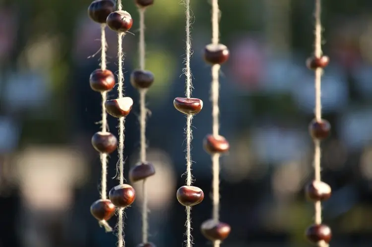 Mit Kastanien ein Mobile basteln als Deko für den Herbst