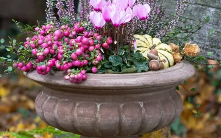 Schale herbstlich bepflanzen mit Perlenstrauch, Alpenveilchen, Erika und Zierkürbis als Deko