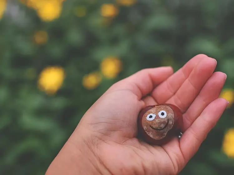 Spaßige Bastelidee für den Herbst mit Kindern - Kastaniengesicht in einfachen Schritten