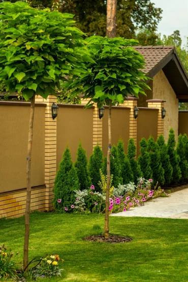 elegante gartengestaltung mit thuja hecke und blütenbeet