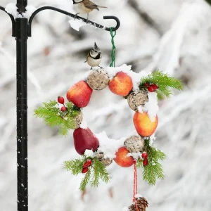 Idee für einen nützlichen Weihnachtskranz aus Äpfeln, Meisenknödeln und Hagebutten