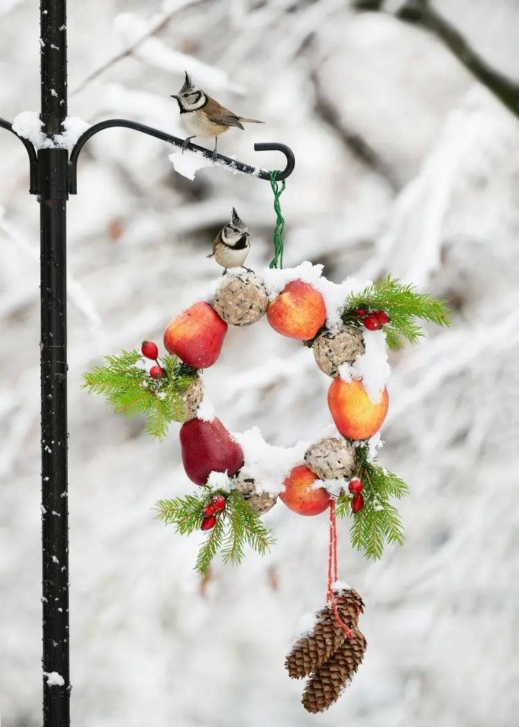 Idee für einen nützlichen Weihnachtskranz aus Äpfeln, Meisenknödeln und Hagebutten