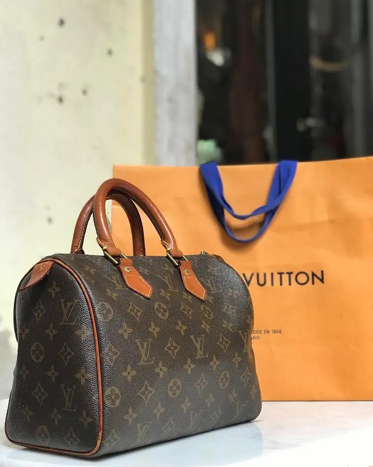 louis vuitton speedy 25