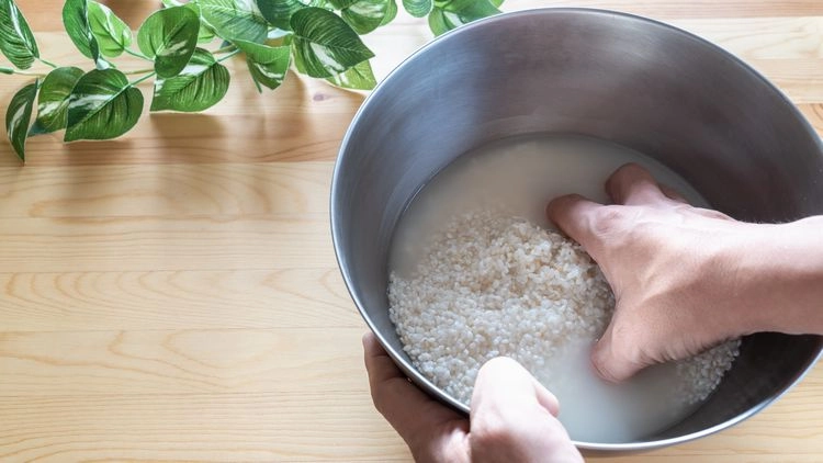 reiswasser für pflanzen tipps für das hausmittel als dünger