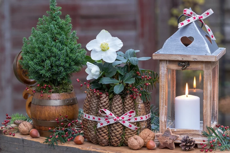 rustikale weihnachtsdeko für draußen