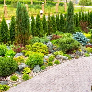 vielfältige unterpflanzung vor der thuja hecke steingarten mit stauden und zwerggehölzen gestalten