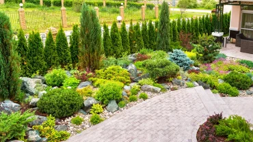 vielfältige unterpflanzung vor der thuja hecke steingarten mit stauden und zwerggehölzen gestalten