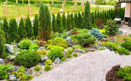 vielfältige unterpflanzung vor der thuja hecke steingarten mit stauden und zwerggehölzen gestalten