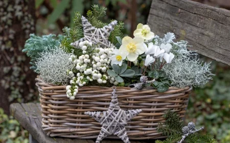 weihnachstgesteck im korb selber machen