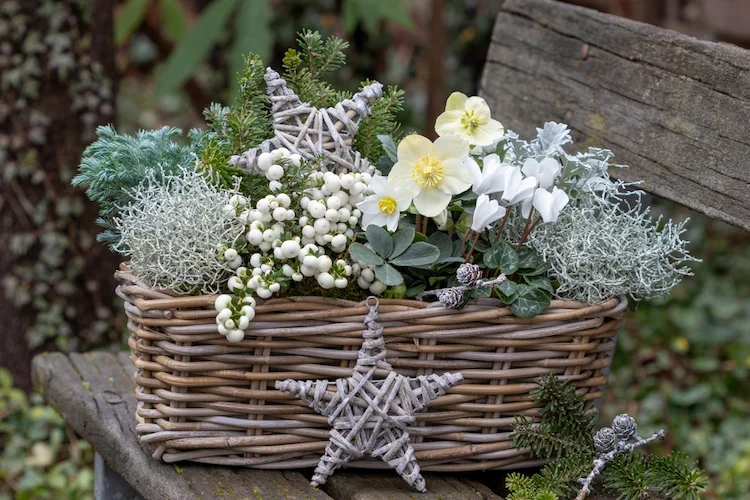 weihnachstgesteck im korb selber machen