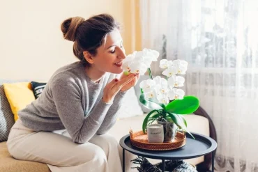 Wie oft sollte man Orchideen mit Milch gießen?