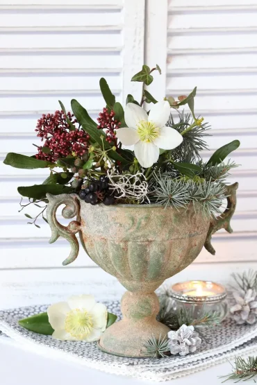 Alten Blumen müssen im Frühjahr verjüngt werden