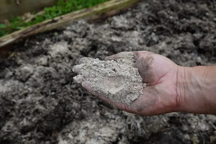 Asche ist auch ein guter Dünger im Garten