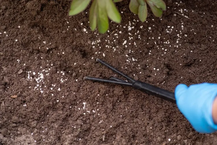 Bodenaktivator selber machen und in den Gartenboden einarbeiten