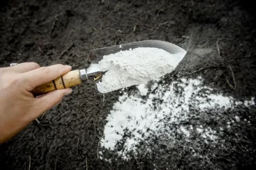 Gesteinsmehl gibt dem Bodenhilfsstoff Mineralien