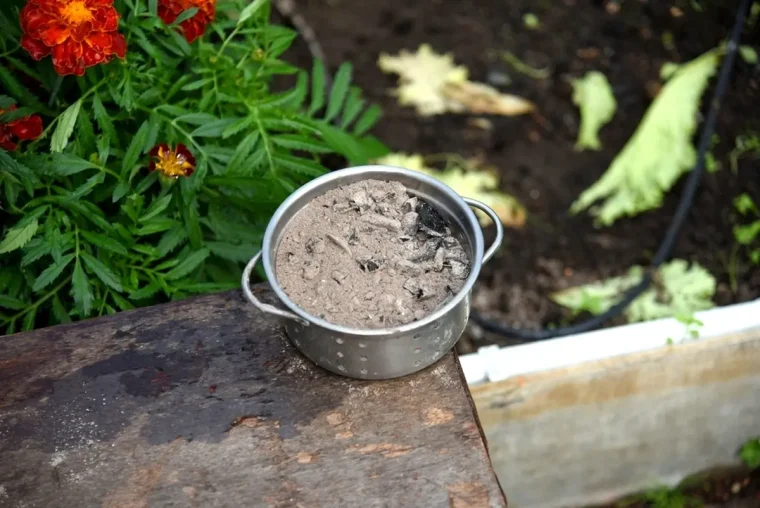 Holzasche gegen Unkraut anwenden - Tipps, wie Sie es richtig machen