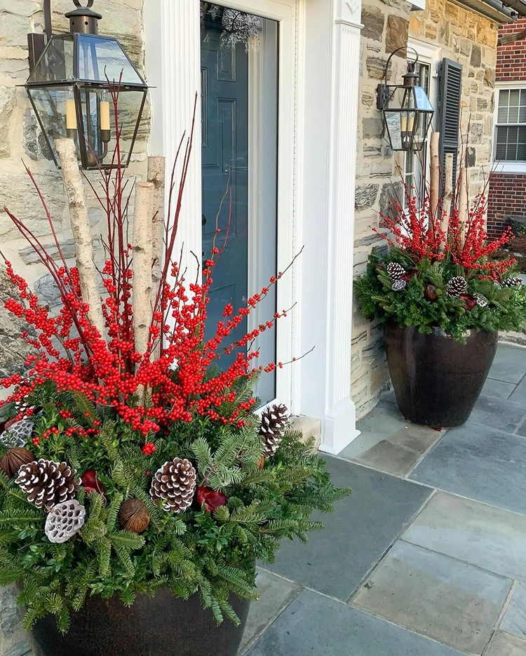 immergrüne arrangements mit roten beeren in kübeln