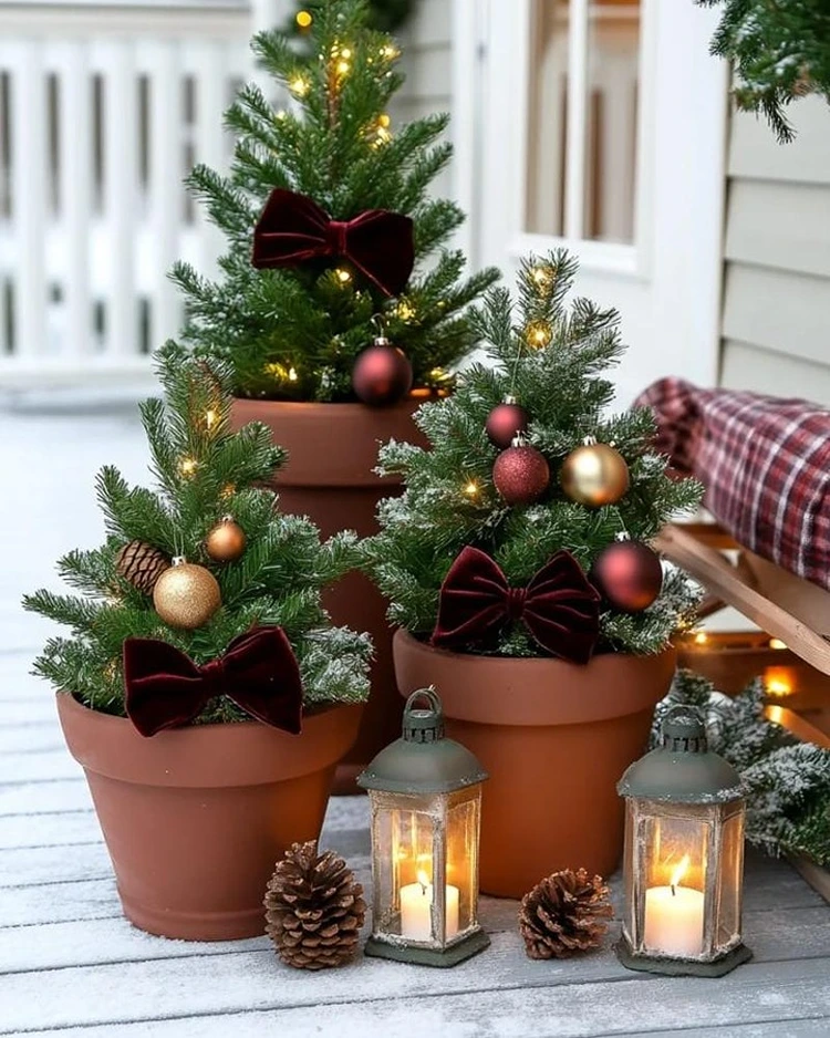kleine tannnebäume in kübeln gartendeko weihnachten