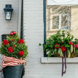 kübel einfach weihnachtlich dekorieren