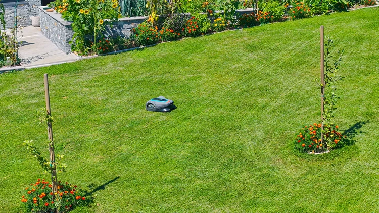 mähroboter in aktion für einen perfekt gepflegten garten