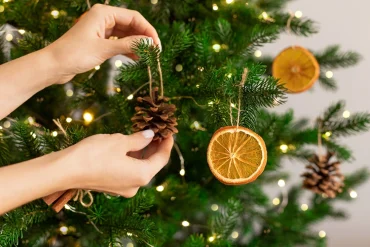 nachhaltiger weihnachtsbaumschmuck aus zapfen und orangenscheiben