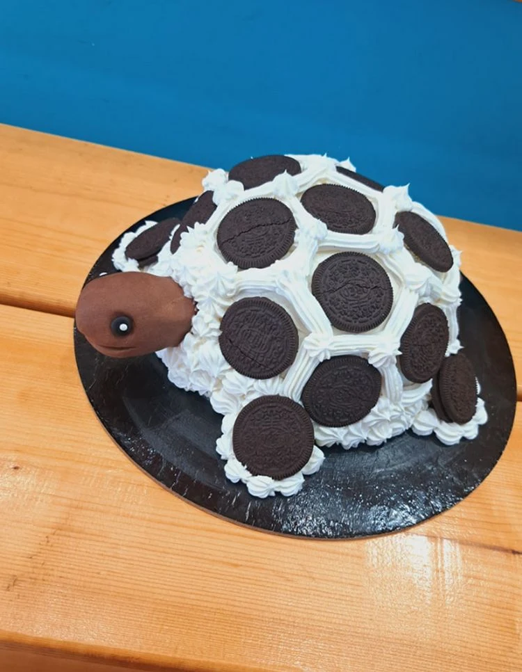 Niedlicher Kuchen mit Design einer Schildkröte