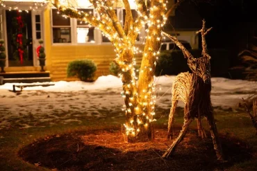 Pflanzen im Garten richtig beleuchten im Winter mit Lichterketten