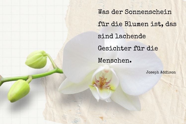 schöne Sprüche über Blumen für Liebe und Freund